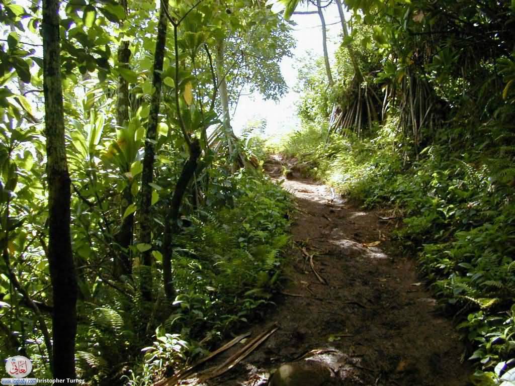 kalalua trail