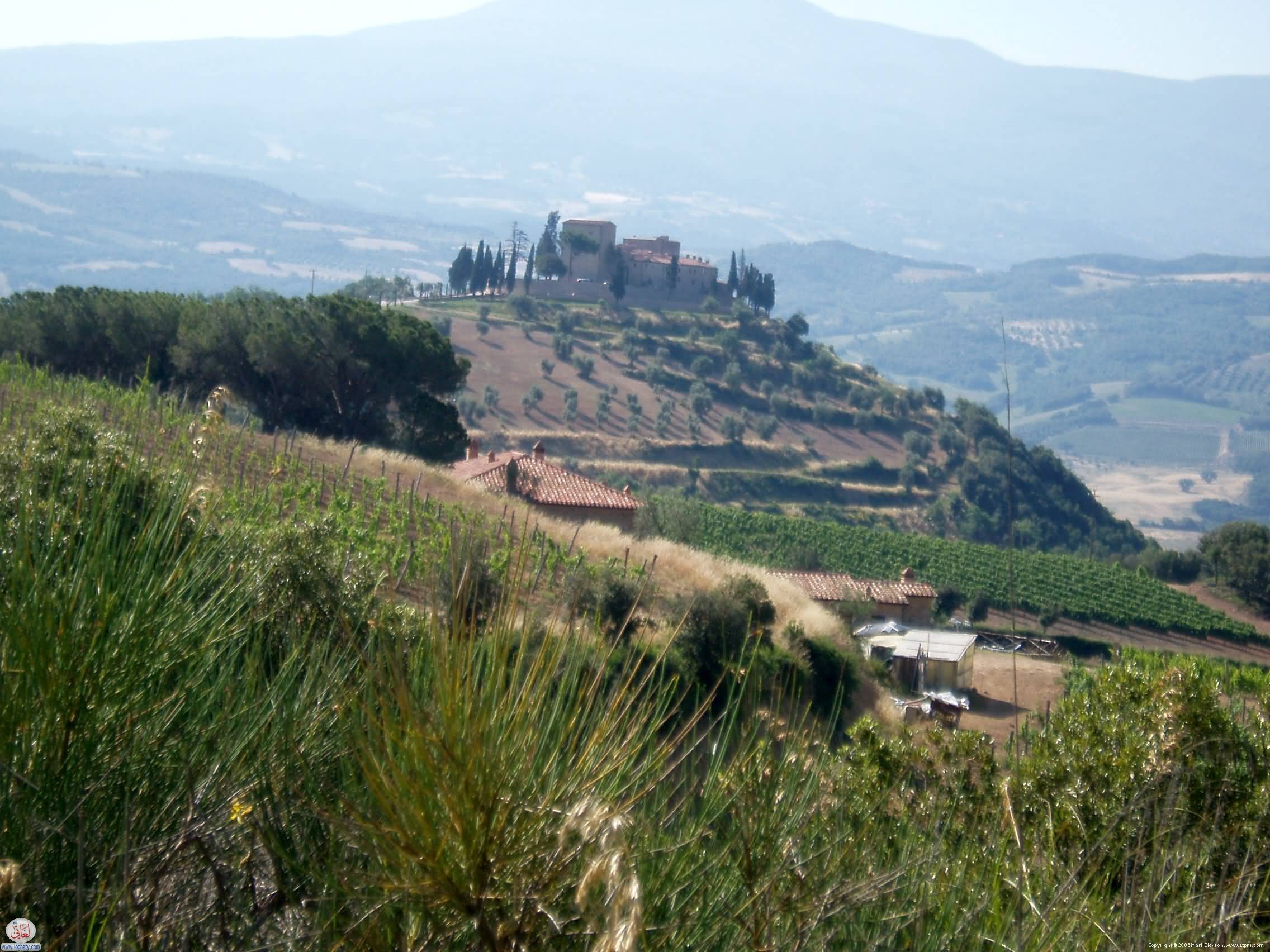 castello-di-velona-tuscany