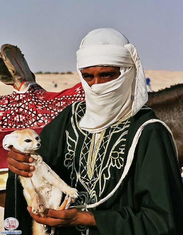 sahara tuareg web