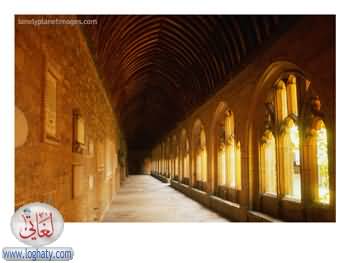 BN1128 21~Cloisters-of-New-College-Oxford-England-Posters