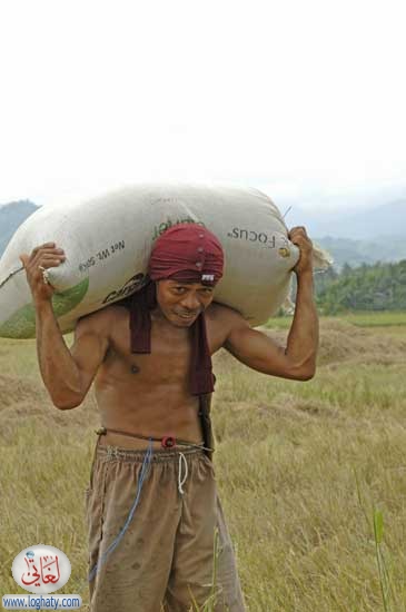 carryingrice