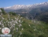 lebanon nature2