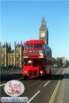 red-bus-on-westminster-bridge-$9859$180