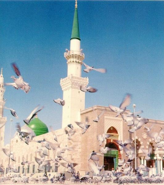 ProphetsMosqueGeneralOldView[1]