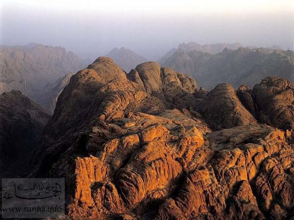 sinai mount