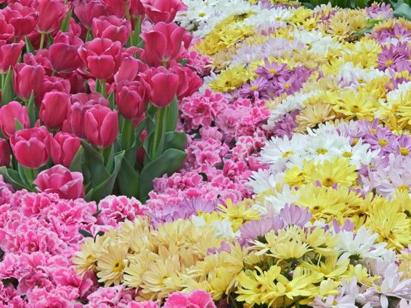 Natural Pastels